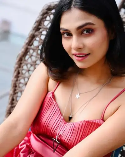 Ananya Pillai